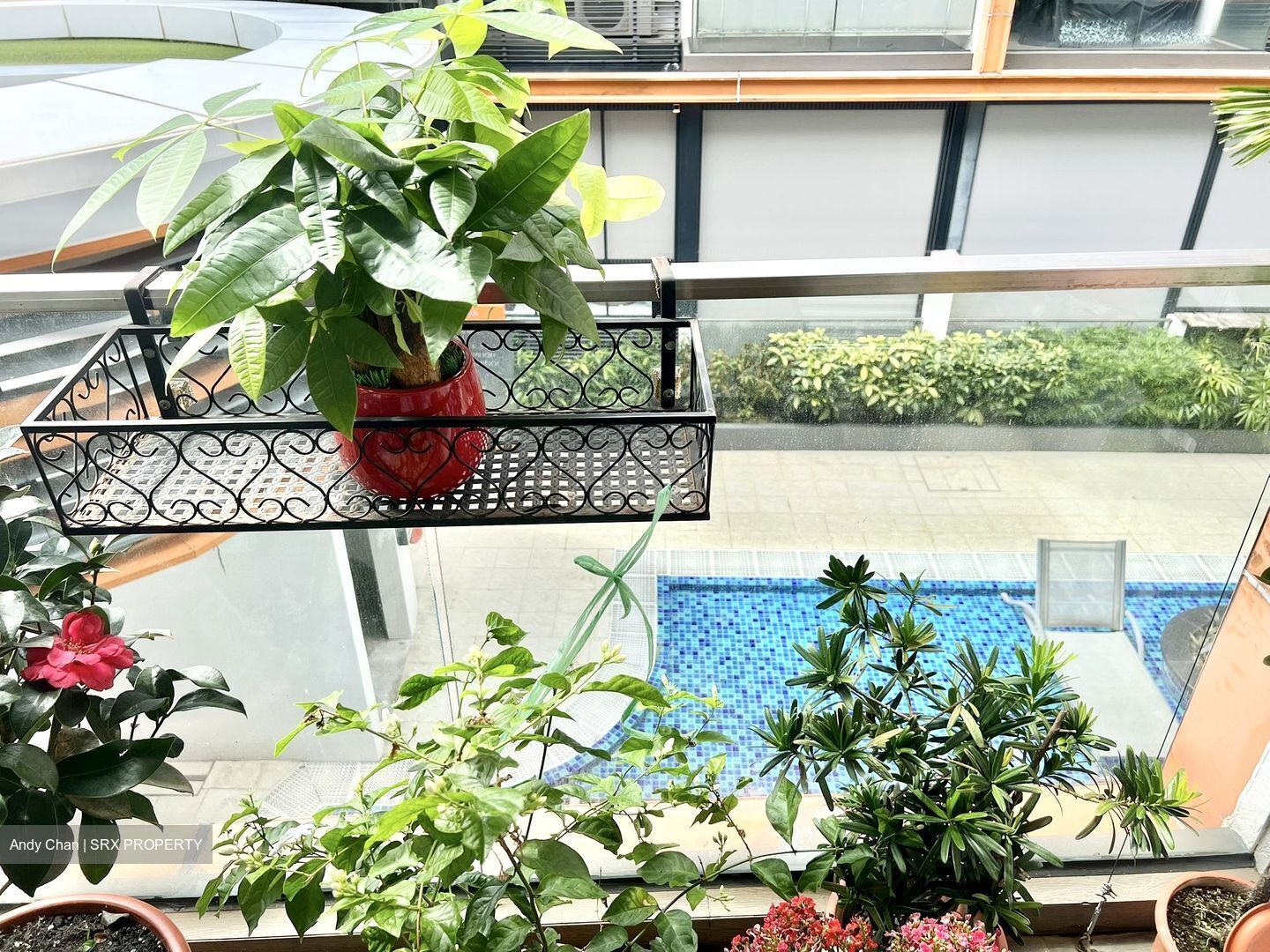 Floraview (D20), Apartment #533514301